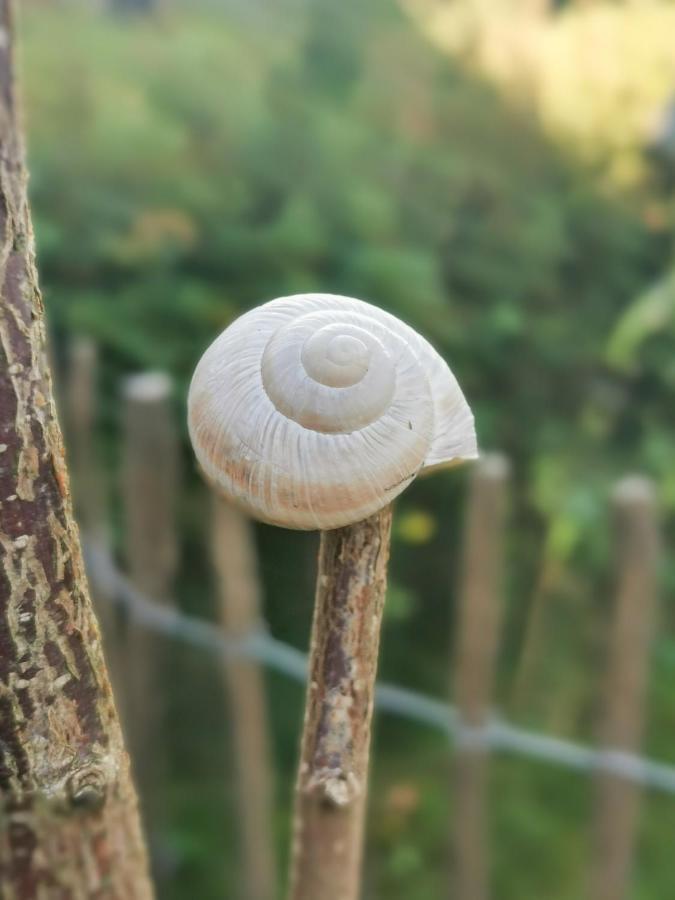 Smittshoern 3 - Nordsee Erdgeschosswohnung Mit Eingezaeunten Garten, Kamin Und Lounge! Altfunnixsiel Buitenkant foto